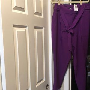 Torrid purple pants